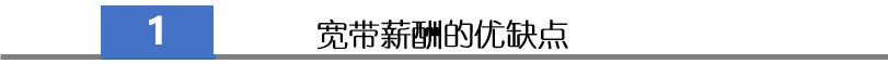 人力资源管理带我们认识宽带薪酬（一）：宽带绩效的优缺点